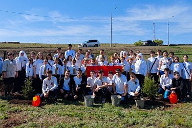 Каждое дерево – символ благодарности героям 